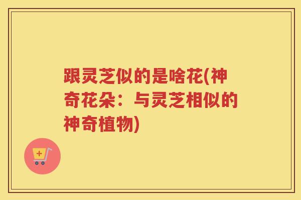 跟灵芝似的是啥花(神奇花朵：与灵芝相似的神奇植物)