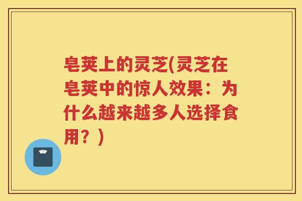 皂荚上的灵芝(灵芝在皂荚中的惊人效果:为什么越来越多人选择食用?) 皂荚上的灵芝(灵芝在皂荚中的惊人效果:为什么越来越多人选择食用?)