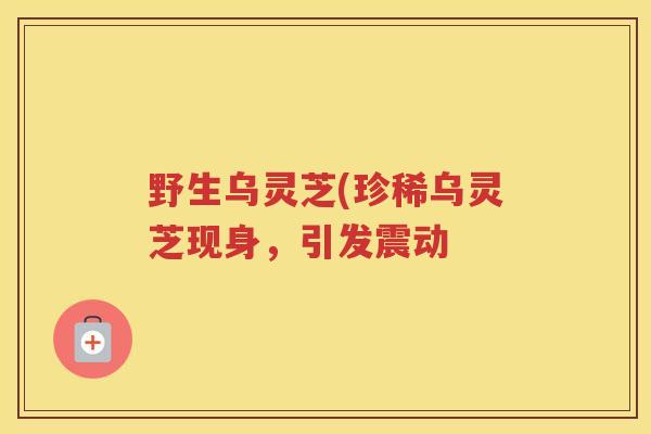 野生乌灵芝(珍稀乌灵芝现身，引发震动