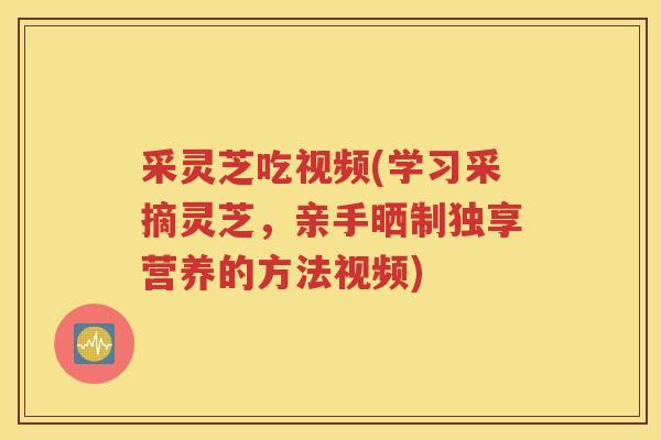 采灵芝吃视频(学习采摘灵芝,亲手晒制独享营养的方法视频) 采灵芝吃视频(学习采摘灵芝,亲手晒制独享营养的方法视频)