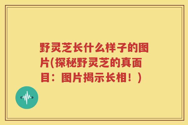 野灵芝长什么样子的图片(探秘野灵芝的真面目：图片揭示长相！)