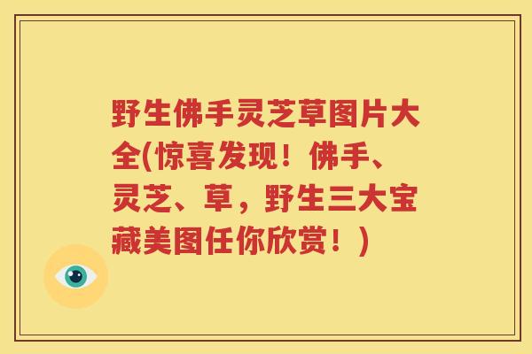 野生佛手灵芝草图片大全(惊喜发现!佛手、灵芝、草,野生三大宝藏美图任你欣赏!) 野生佛手灵芝草图片大全(惊喜发现!佛手、灵芝、草,野生三大宝藏美图任你欣赏!)