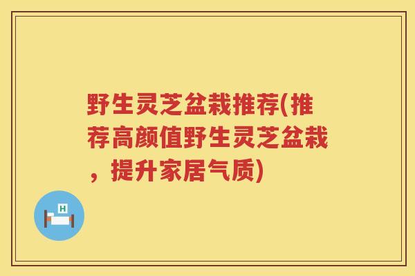 野生灵芝盆栽推荐(推荐高颜值野生灵芝盆栽，提升家居气质)