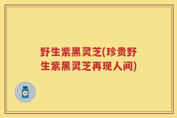 野生紫黑灵芝(珍贵野生紫黑灵芝再现人间)