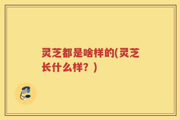 灵芝都是啥样的(灵芝长什么样?) 灵芝都是啥样的(灵芝长什么样?)