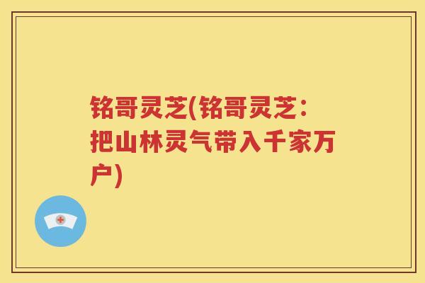 铭哥灵芝(铭哥灵芝：把山林灵气带入千家万户)