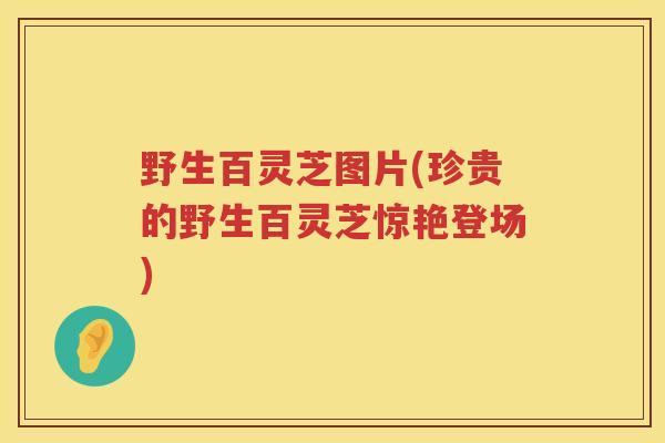 野生百灵芝图片(珍贵的野生百灵芝惊艳登场)