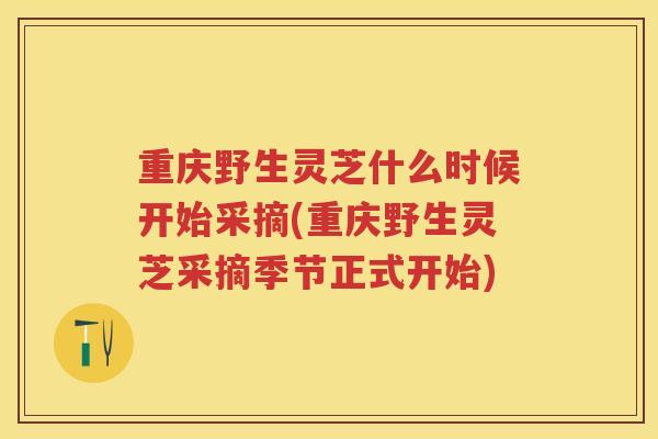 重庆野生灵芝什么时候开始采摘(重庆野生灵芝采摘季节正式开始)