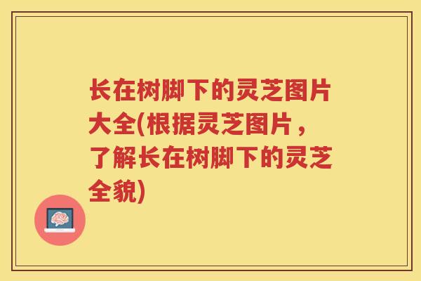 长在树脚下的灵芝图片大全(根据灵芝图片，了解长在树脚下的灵芝全貌)