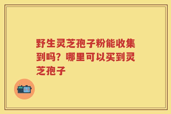 野生灵芝孢子粉能收集到吗？哪里可以买到灵芝孢子
