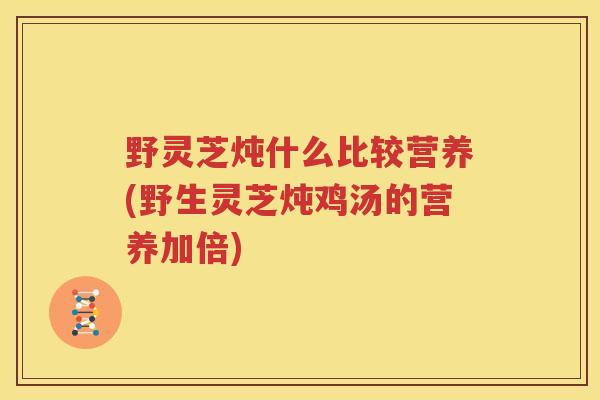 野灵芝炖什么比较营养(野生灵芝炖鸡汤的营养加倍)