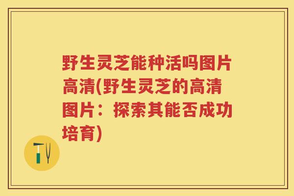 野生灵芝能种活吗图片高清(野生灵芝的高清图片：探索其能否成功培育)