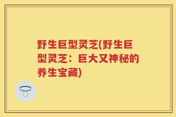 野生巨型灵芝(野生巨型灵芝：巨大又神秘的养生宝藏)