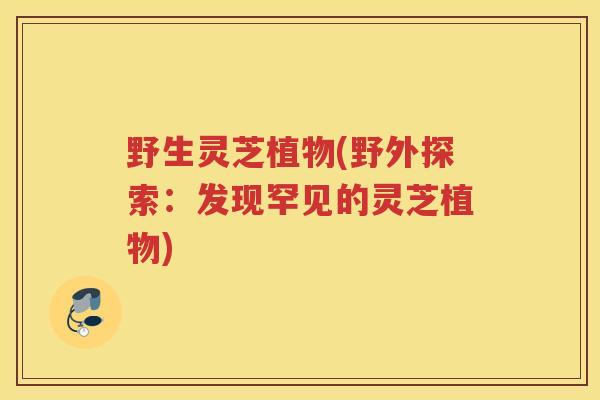 野生灵芝植物(野外探索:发现罕见的灵芝植物) 野生灵芝植物(野外探索:发现罕见的灵芝植物)