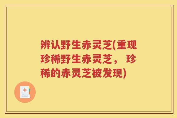 辨认野生赤灵芝(重现珍稀野生赤灵芝， 珍稀的赤灵芝被发现)