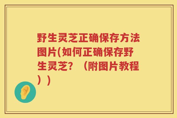 野生灵芝正确保存方法图片(如何正确保存野生灵芝？（附图片教程）)