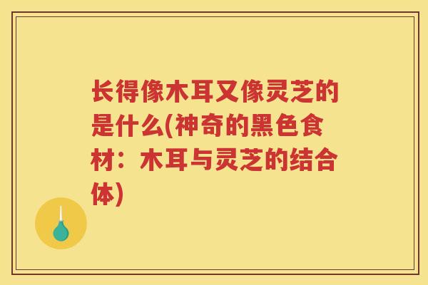 长得像木耳又像灵芝的是什么(神奇的黑色食材：木耳与灵芝的结合体)