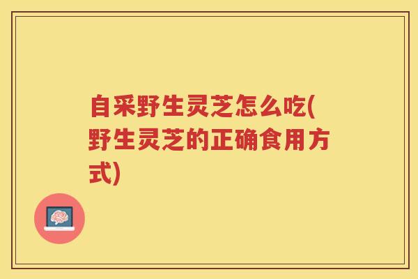 自采野生灵芝怎么吃(野生灵芝的正确食用方式)