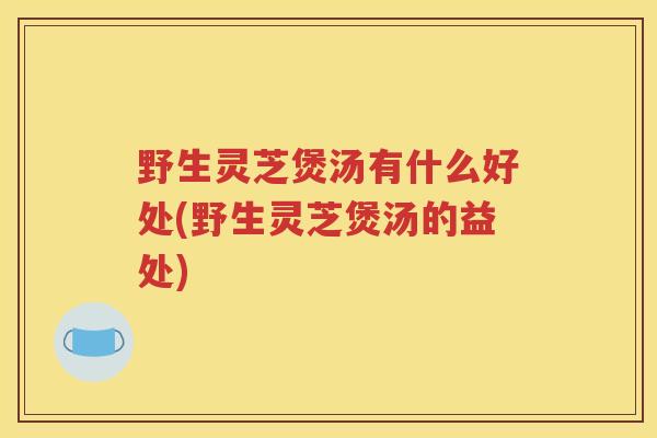 野生灵芝煲汤有什么好处(野生灵芝煲汤的益处)