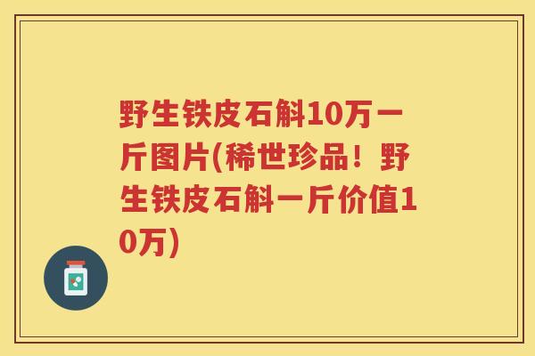 野生铁皮石斛10万一斤图片(稀世珍品！野生铁皮石斛一斤价值10万)