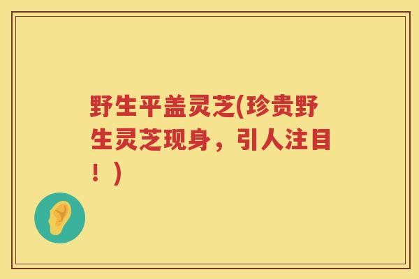 野生平盖灵芝(珍贵野生灵芝现身，引人注目！)