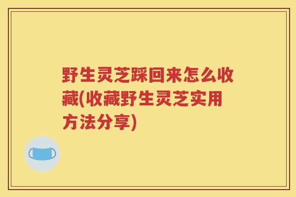 野生灵芝踩回来怎么收藏(收藏野生灵芝实用方法分享)