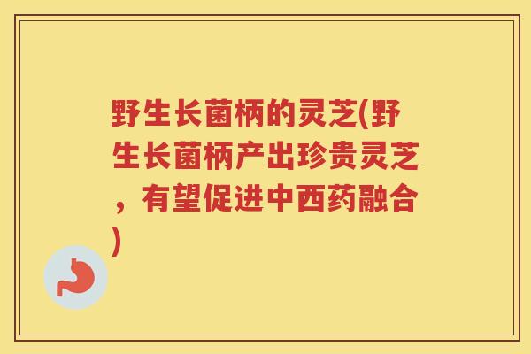 野生长菌柄的灵芝(野生长菌柄产出珍贵灵芝，有望促进中西药融合)