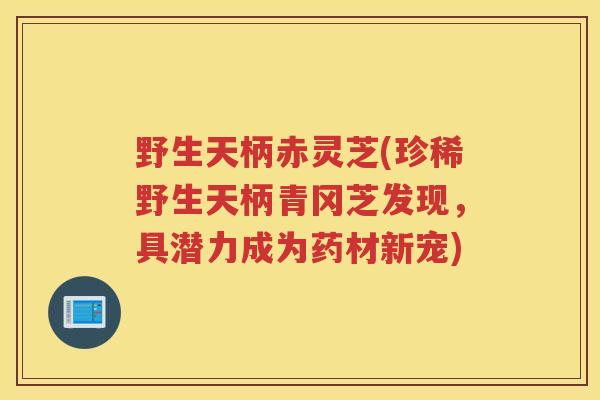 野生天柄赤灵芝(珍稀野生天柄青冈芝发现,具潜力成为药材新宠) 野生天柄赤灵芝(珍稀野生天柄青冈芝发现,具潜力成为药材新宠)