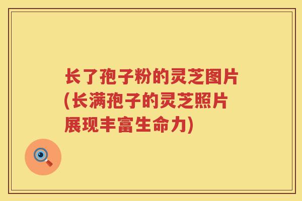 长了孢子粉的灵芝图片(长满孢子的灵芝照片展现丰富生命力)