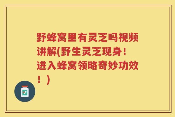 野蜂窝里有灵芝吗视频讲解(野生灵芝现身！进入蜂窝领略奇妙功效！)