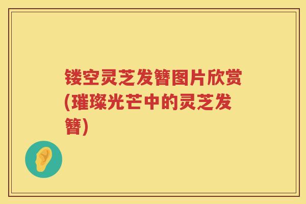 镂空灵芝发簪图片欣赏(璀璨光芒中的灵芝发簪)
