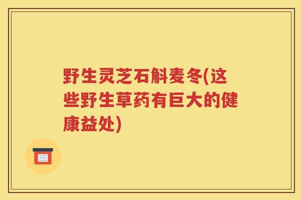 野生灵芝石斛麦冬(这些野生草药有巨大的健康益处)