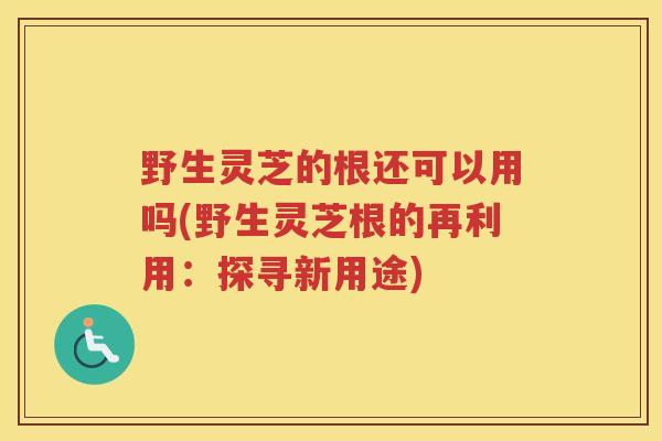 野生灵芝的根还可以用吗(野生灵芝根的再利用:探寻新用途) 野生灵芝的根还可以用吗(野生灵芝根的再利用:探寻新用途)