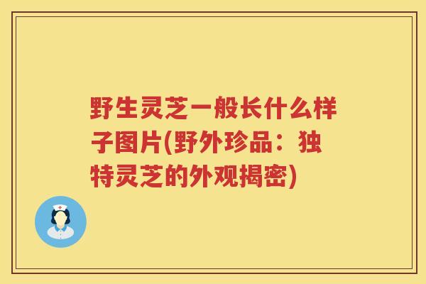 野生灵芝一般长什么样子图片(野外珍品:独特灵芝的外观揭密) 野生灵芝一般长什么样子图片(野外珍品:独特灵芝的外观揭密)