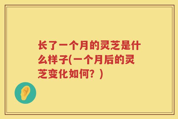 长了一个月的灵芝是什么样子(一个月后的灵芝变化如何？)