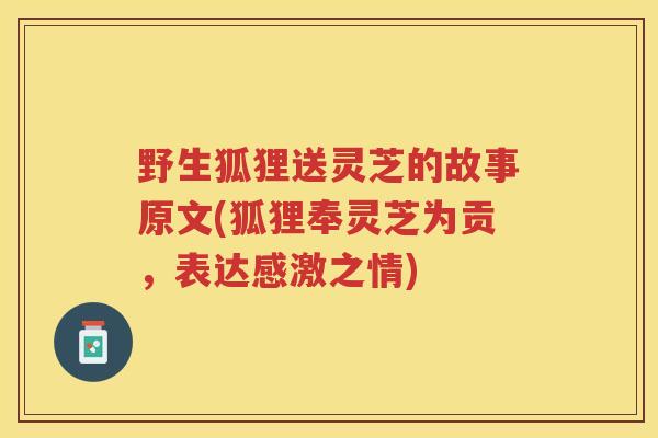 野生狐狸送灵芝的故事原文(狐狸奉灵芝为贡，表达感激之情)