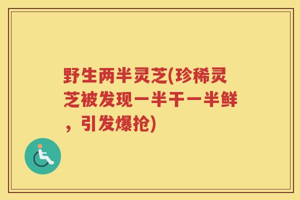 野生两半灵芝(珍稀灵芝被发现一半干一半鲜,引发爆抢) 野生两半灵芝(珍稀灵芝被发现一半干一半鲜,引发爆抢)