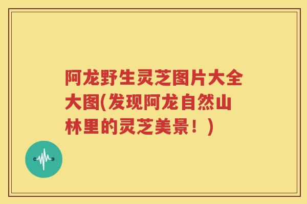 阿龙野生灵芝图片大全大图(发现阿龙自然山林里的灵芝美景！)