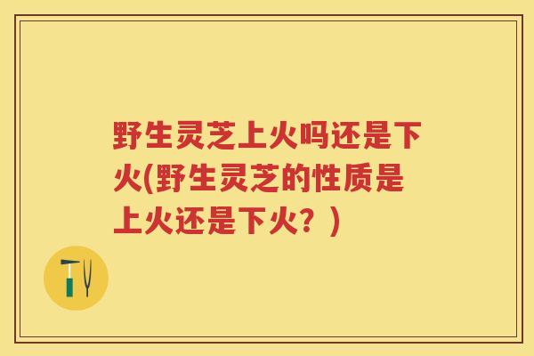 野生灵芝上火吗还是下火(野生灵芝的性质是上火还是下火？)