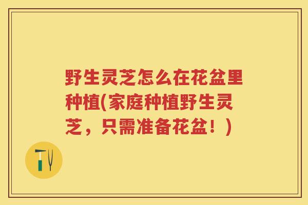 野生灵芝怎么在花盆里种植(家庭种植野生灵芝，只需准备花盆！)