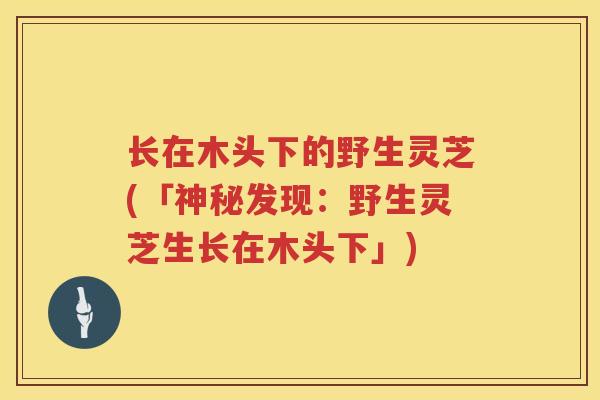 长在木头下的野生灵芝(「神秘发现：野生灵芝生长在木头下」)