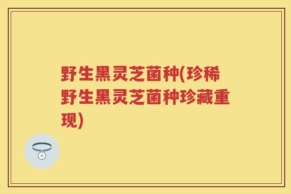 野生黑灵芝菌种(珍稀野生黑灵芝菌种珍藏重现)