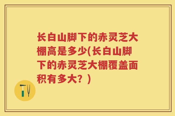 长白山脚下的赤灵芝大棚高是多少(长白山脚下的赤灵芝大棚覆盖面积有多大？)