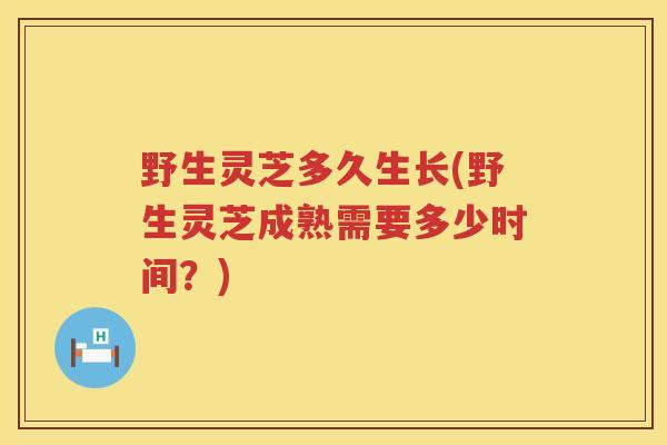野生灵芝多久生长(野生灵芝成熟需要多少时间？)