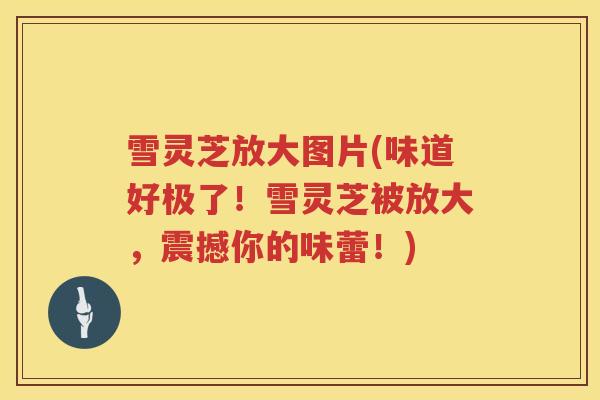 雪灵芝放大图片(味道好极了！雪灵芝被放大，震撼你的味蕾！)