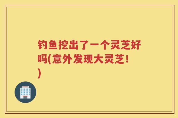 钓鱼挖出了一个灵芝好吗(意外发现大灵芝!) 钓鱼挖出了一个灵芝好吗(意外发现大灵芝!)