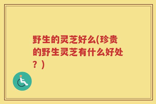 野生的灵芝好么(珍贵的野生灵芝有什么好处？)