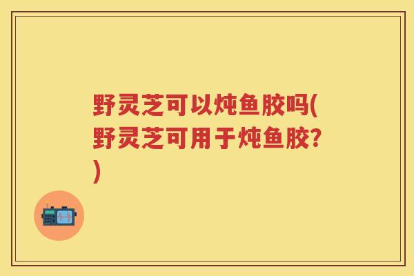 野灵芝可以炖鱼胶吗(野灵芝可用于炖鱼胶？)