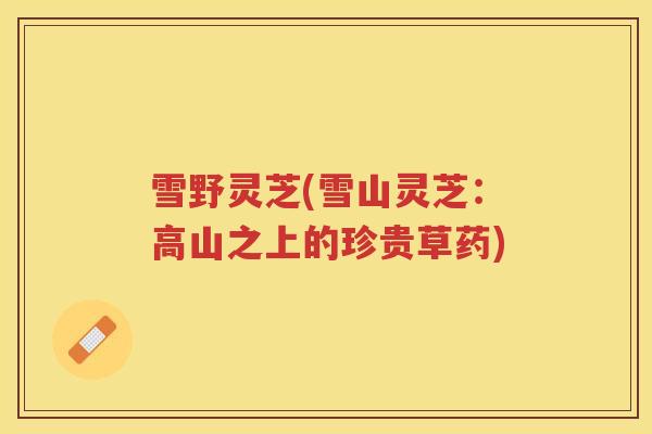 雪野灵芝(雪山灵芝:高山之上的珍贵草药) 雪野灵芝(雪山灵芝:高山之上的珍贵草药)