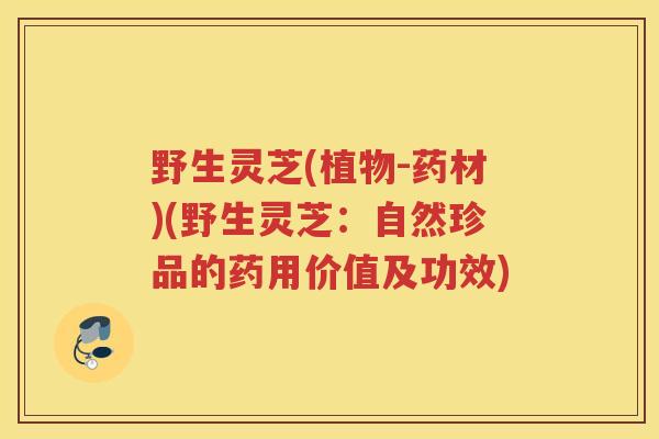 野生灵芝(植物-药材)(野生灵芝：自然珍品的药用价值及功效)